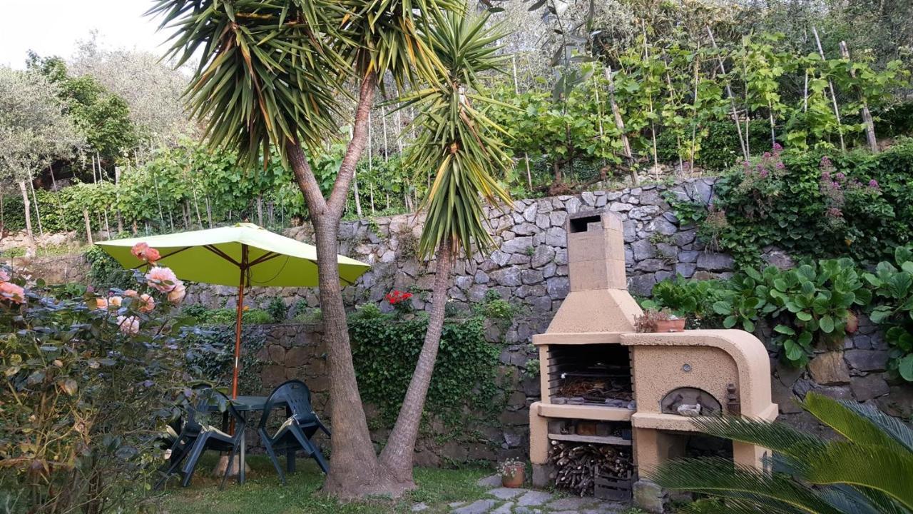 L'Uliveto D'Argento Bed and Breakfast Finale Ligure Eksteriør billede