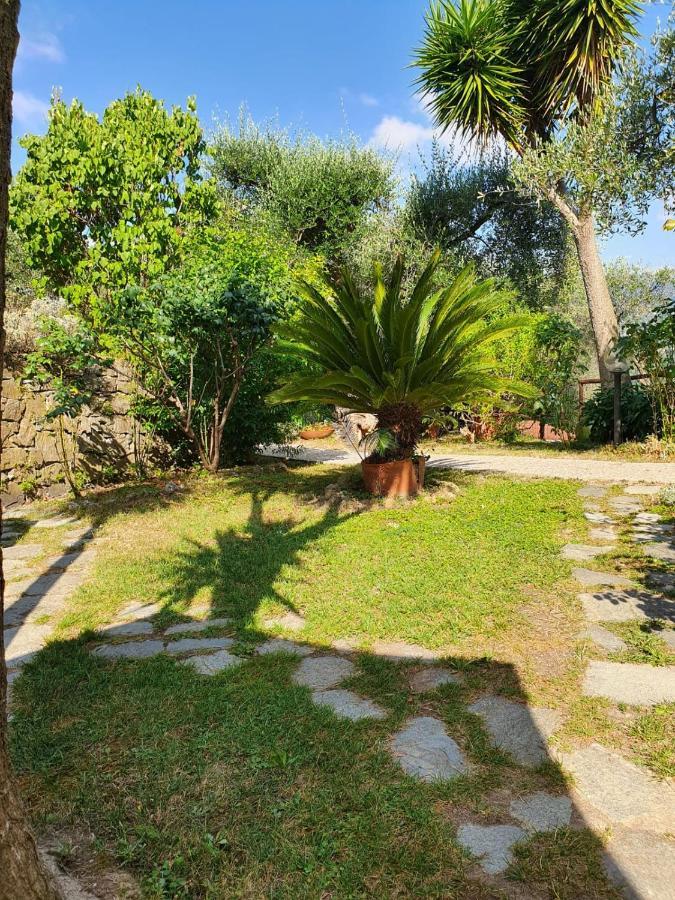 L'Uliveto D'Argento Bed and Breakfast Finale Ligure Eksteriør billede