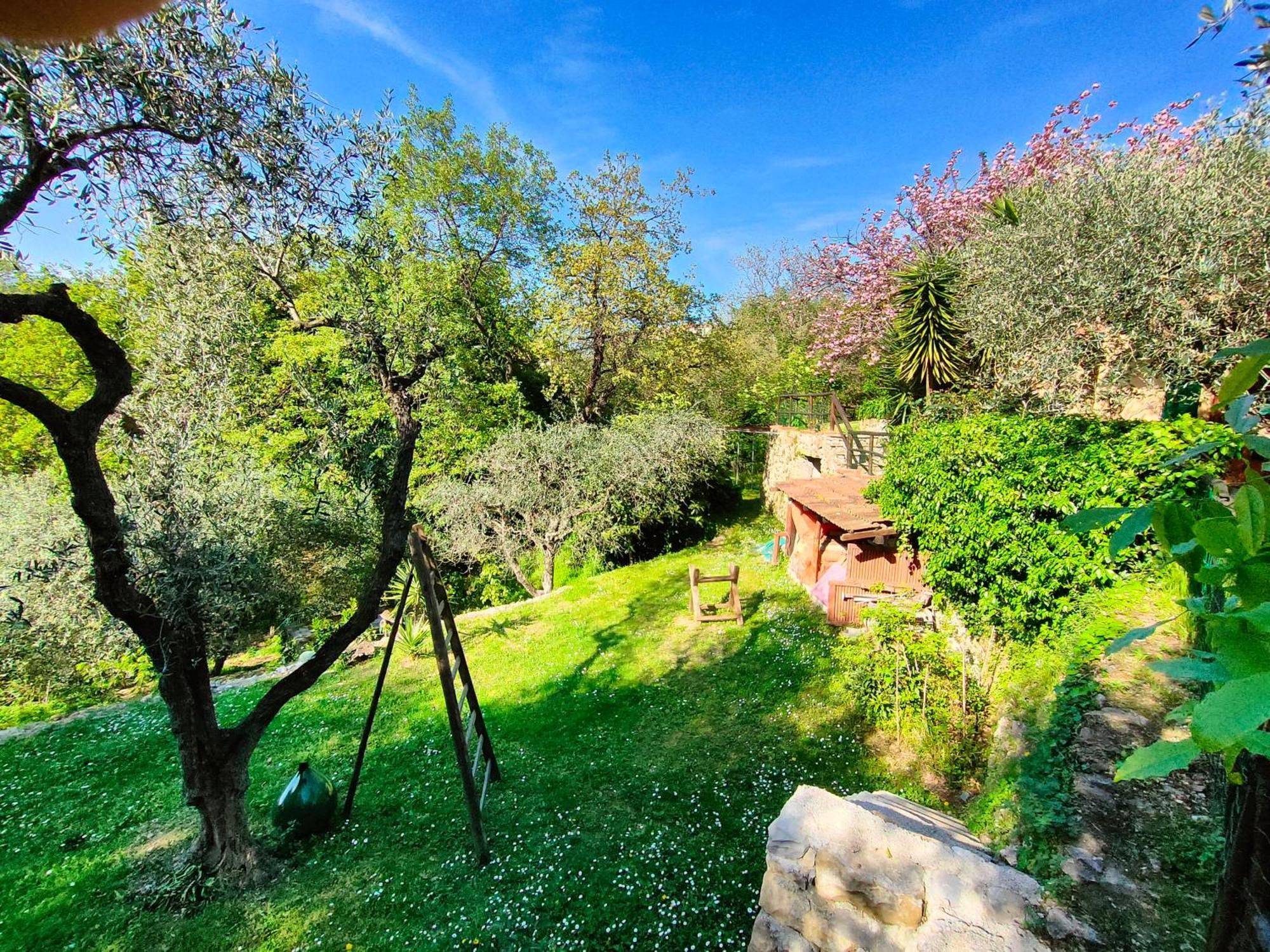 L'Uliveto D'Argento Bed and Breakfast Finale Ligure Eksteriør billede