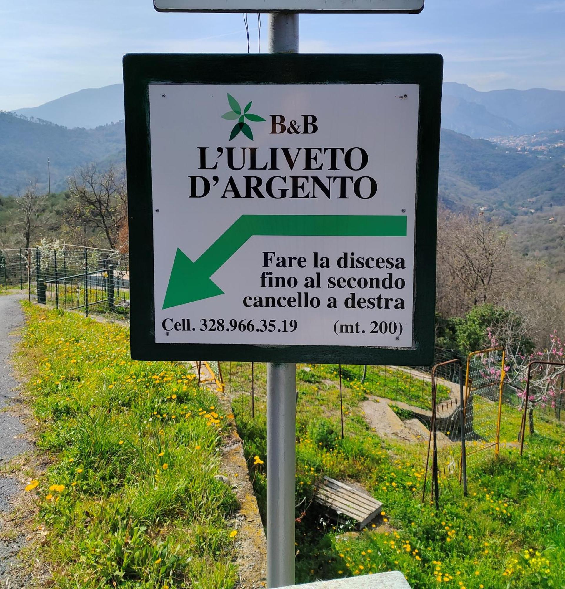L'Uliveto D'Argento Bed and Breakfast Finale Ligure Eksteriør billede