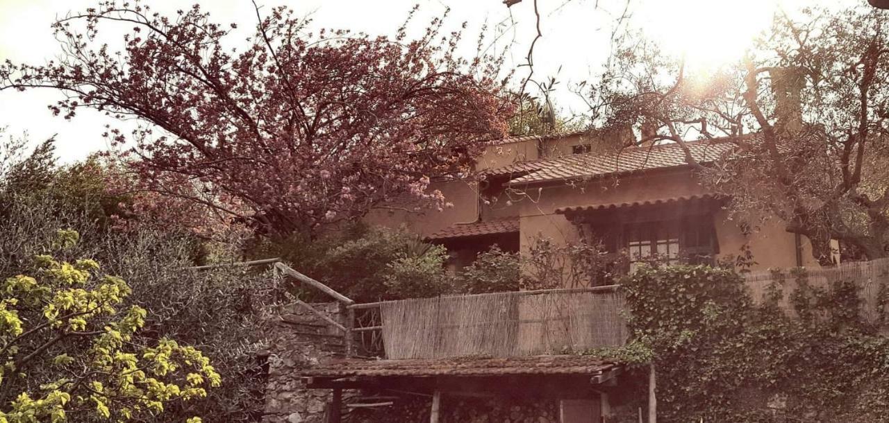 L'Uliveto D'Argento Bed and Breakfast Finale Ligure Eksteriør billede