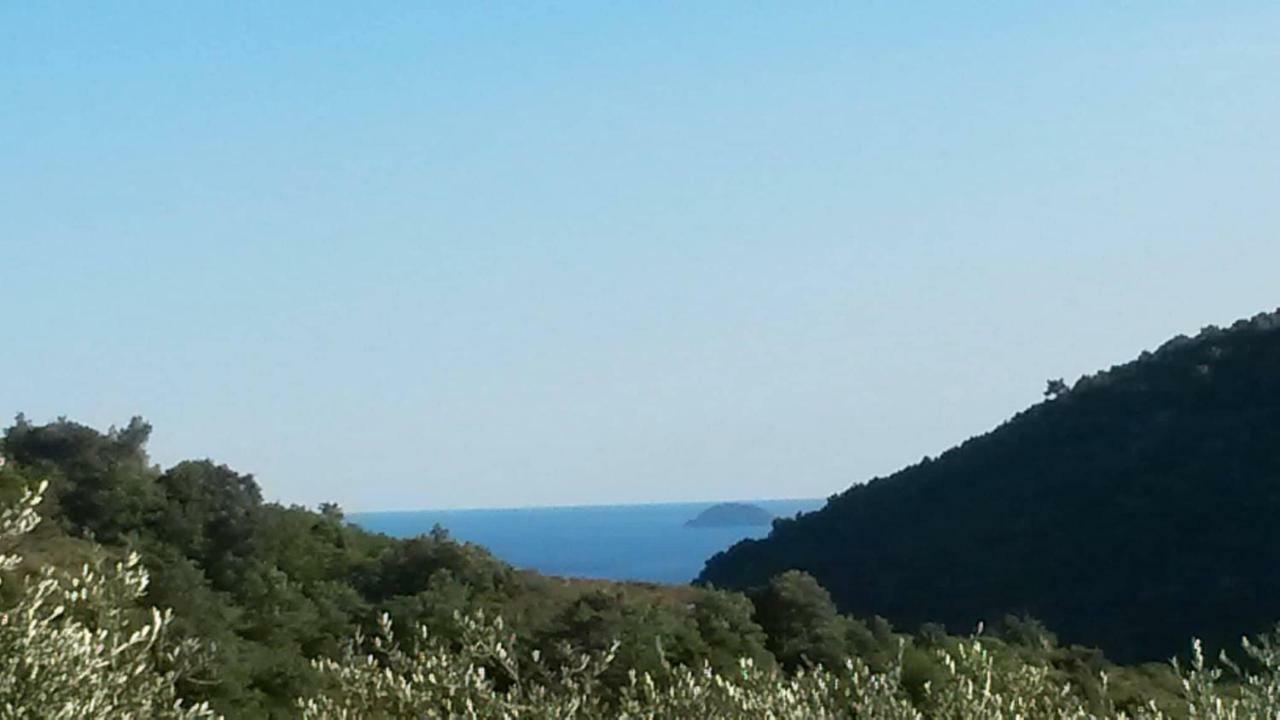 L'Uliveto D'Argento Bed and Breakfast Finale Ligure Eksteriør billede